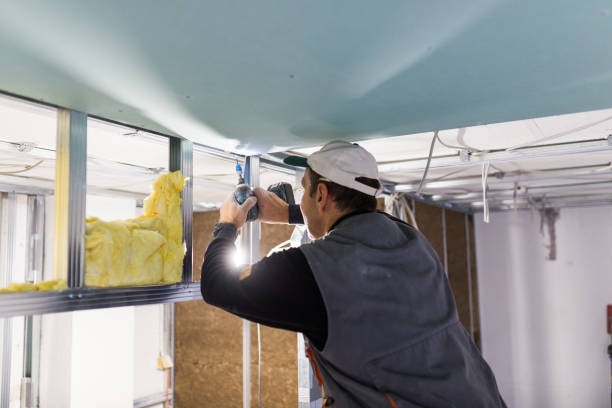 Best Residential Insulation in Wesley Chapel, FL