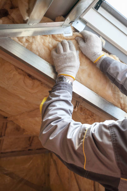 Best Spray Foam Insulation in Wesley Chapel, FL