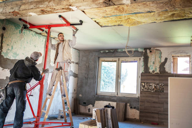 Types of Insulation We Offer in Wesley Chapel, FL