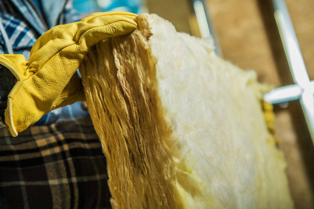 Best Eco-Friendly Insulation in Wesley Chapel, FL