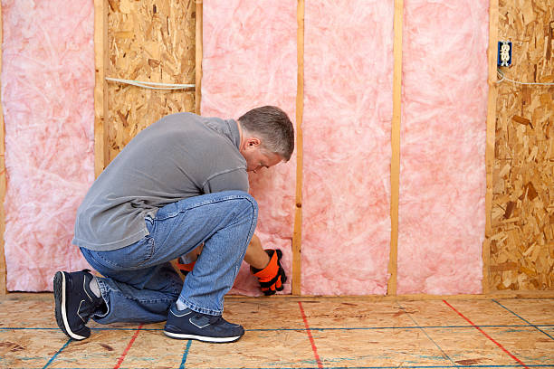 Best DIY Insulation Kits and Guidance in Wesley Chapel, FL