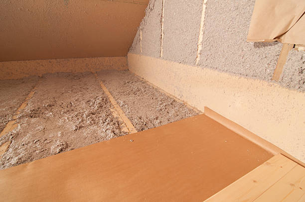 Best Cellulose Insulation in Wesley Chapel, FL